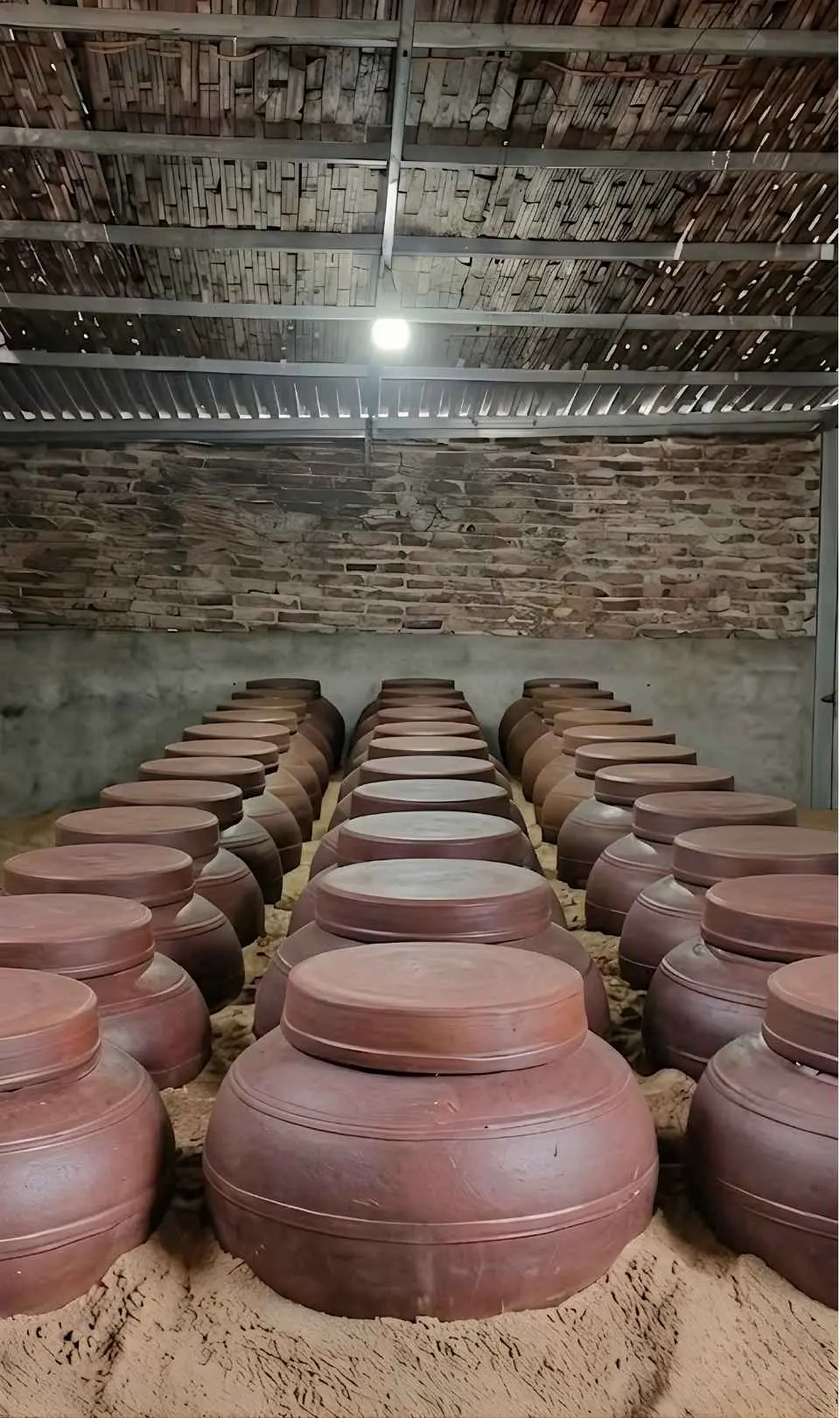 Hạ thổ trong chum - Rượu Nếp Hồng Phúc